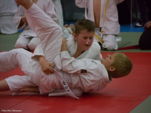 2013 03 05 - 045 Per Ottosson